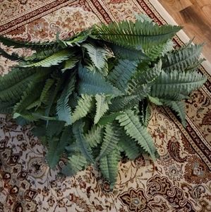 Fern Pieces (Set of 2)